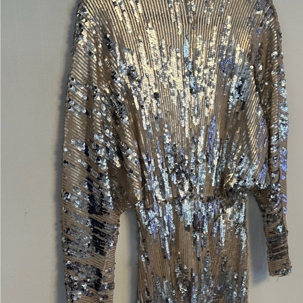 Zara Champagne Sequin Long Sleeve V-Neck Dress - Picture 4 of 5